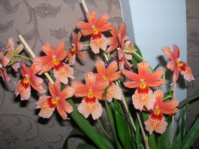 16. 18.11.13бб.JPG