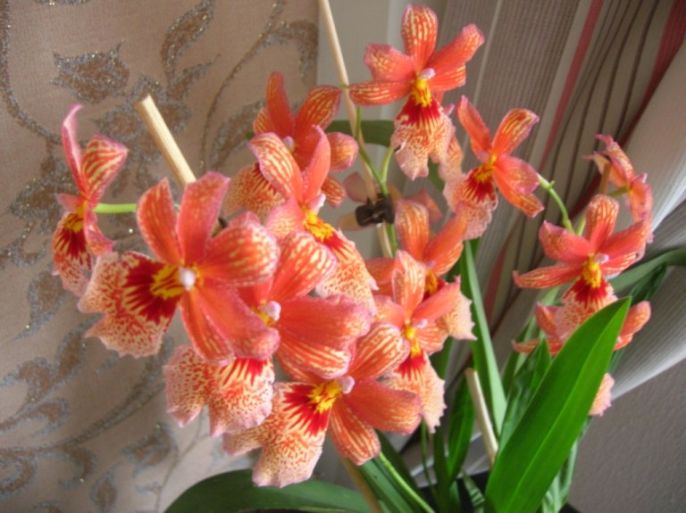 21. 18.11.13жж.JPG