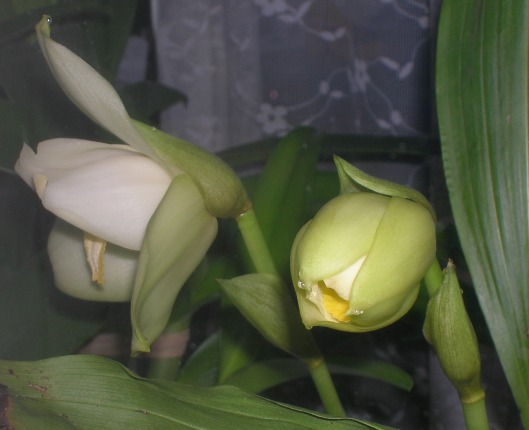 19. 02.12.13бб.JPG