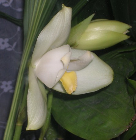 20. 02.12.13вв.JPG