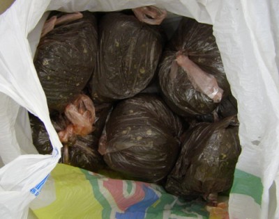 Образцы грунта прибыли.