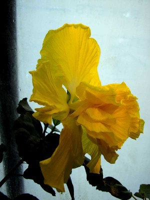 И в профиль...