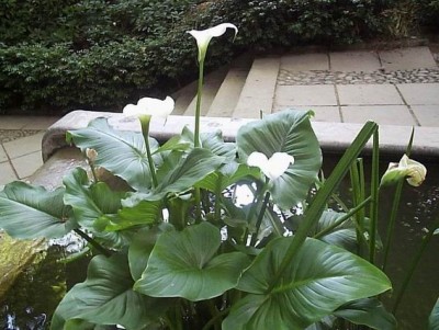 Resize of Resize of Изображение 087.jpg