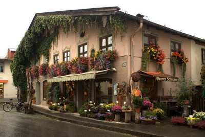 Обратите внимение на плющи, свисающие под крышей