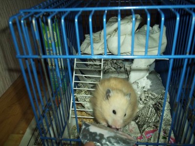 Какая вкусняшка этот йогурт!