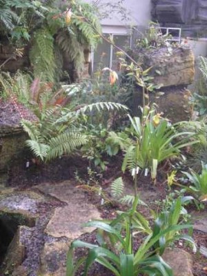 Я была очень удивлена башмачку высотой с человека