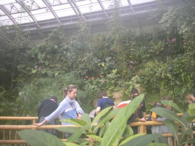 Общий вид выставки