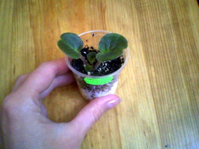 Развеж она маленькая???