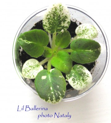 А это моя первая детка!