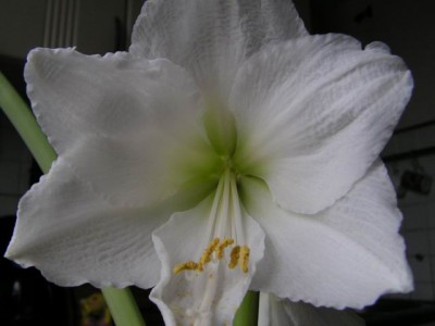 Resize of 2007_03_07 005.jpg