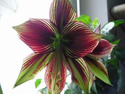 Resize of PICT0005.JPG