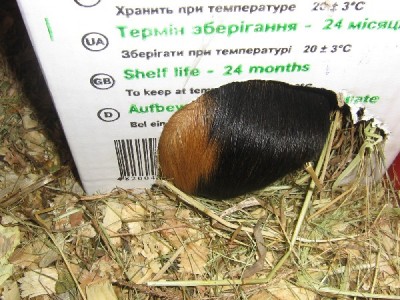 Проветривание