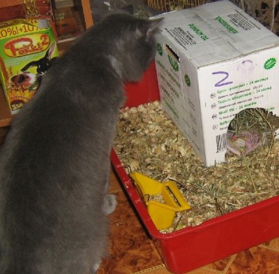 Ну, где же он?!