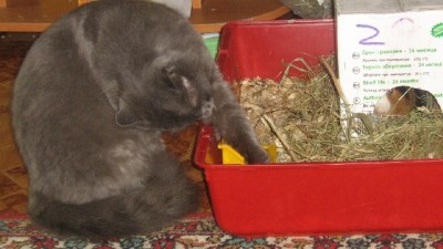 Я уже вымыл себе все, что только мог - выходи!