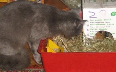 Щас я к тебе сам приду!