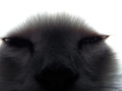 Пришельцы среди нас