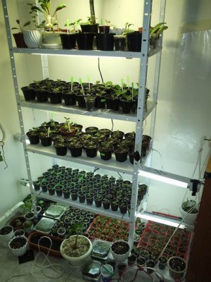 Мое богатство!