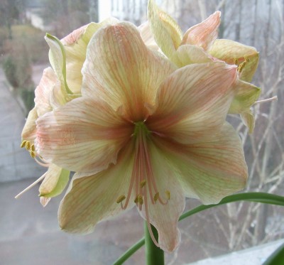 №2-первая стрелка