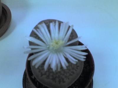 Эта радость на работе была