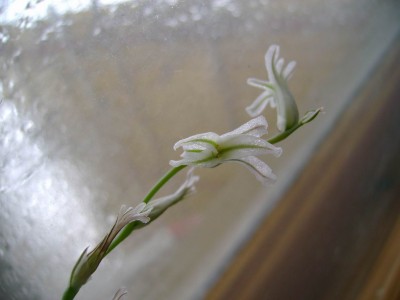 Resize of DSC00197.jpg