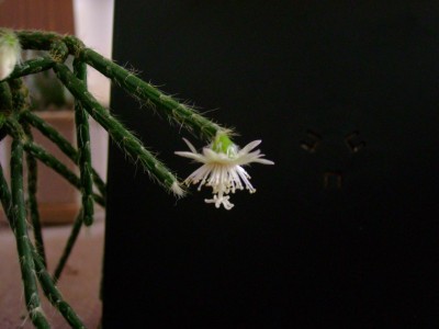 Resize of DSC00187.jpg