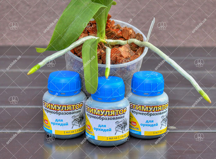 Корнеобразователь для орхидей