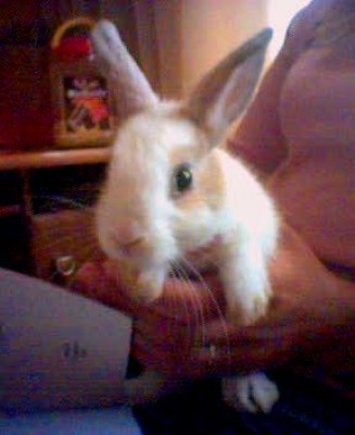 Тут нам два месяца