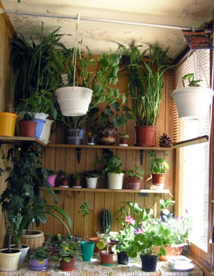 ну а тут все по-немногу и вверху штанга для ампелей