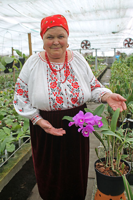 Теплица орхидей.jpg