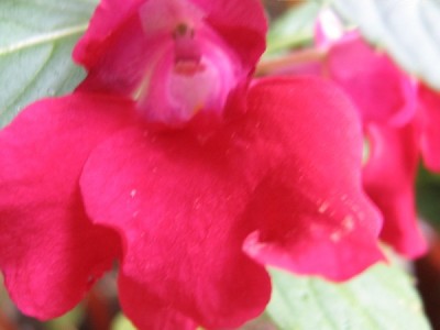 Должен быть - красный