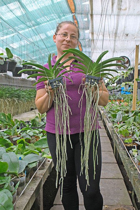 Wuttiphanara Manoonya.jpg