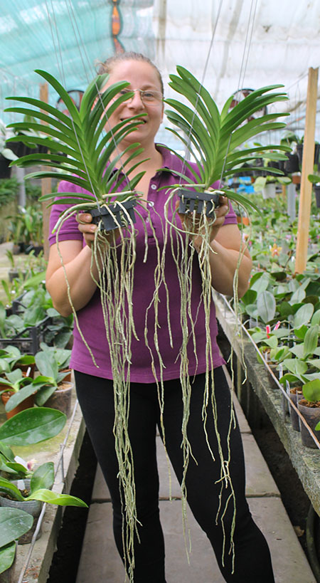 Vanda Mimipalmer x Robert Blue.jpg