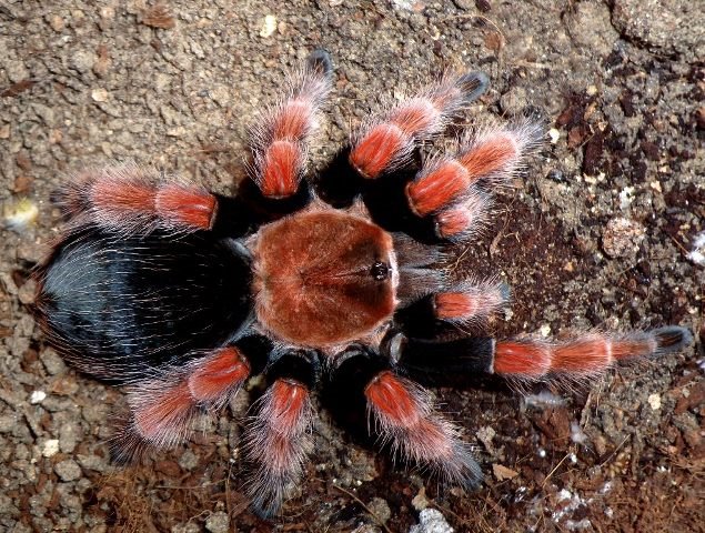 Изображение 035.jpg