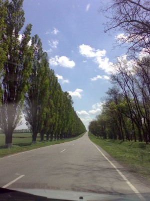 Дорога в небо