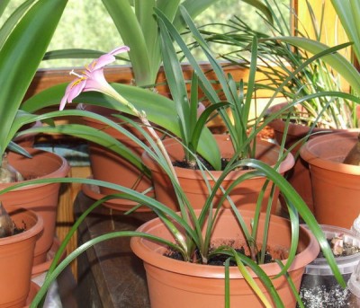 на солнышке