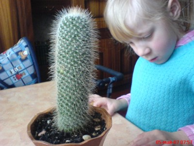Этот уже давно у меня,еще не цвел.Хочу узнать название,чтоб правильно ухаживать