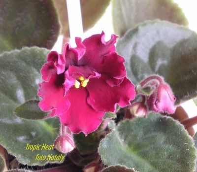 Вот еще букетик