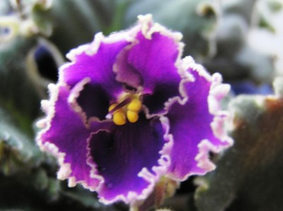 и еще неизвестная