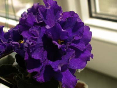 ЕК - Бархатный Блюз