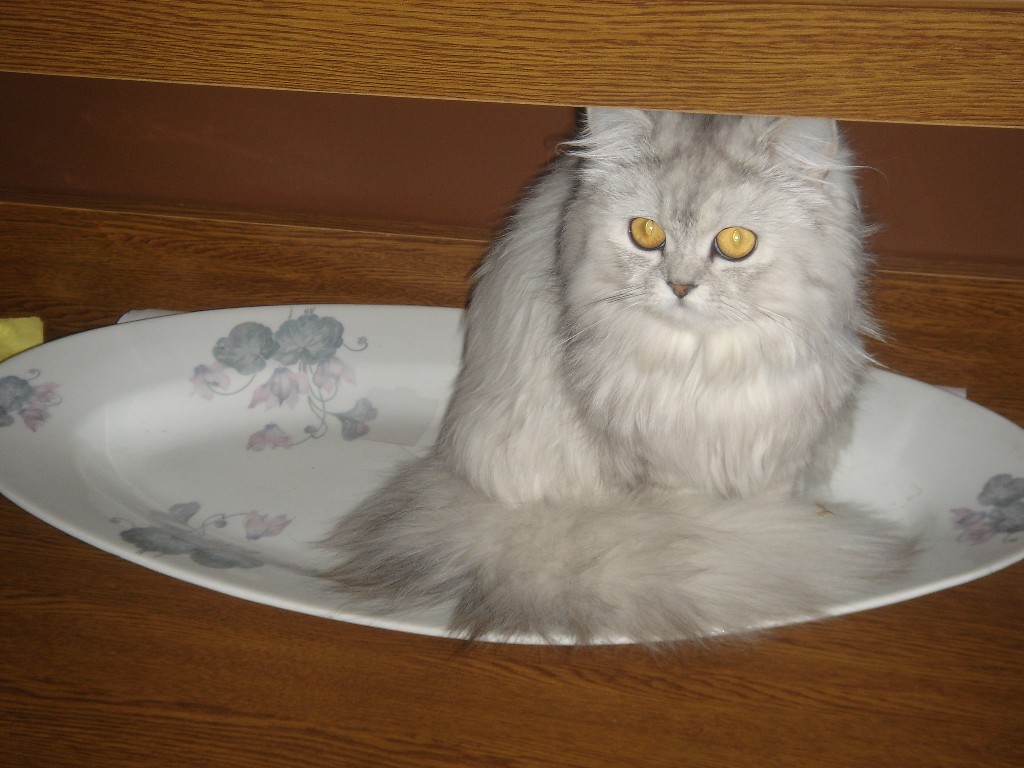 Тут же рыбка была!!!