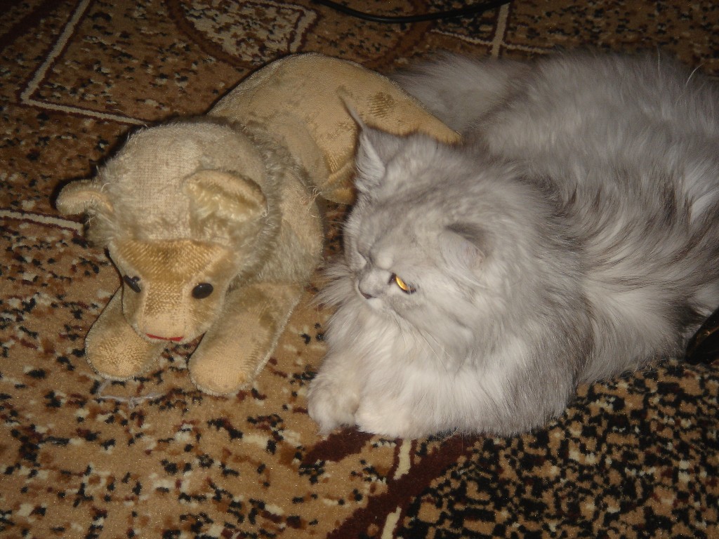 И чем же я не лев?!!!