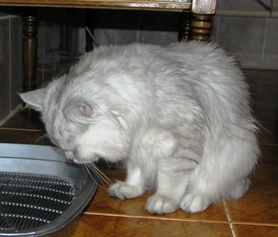 наркоз еще не прошел, но в туалет самостоятельно шел