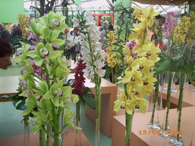 2007 093.JPG