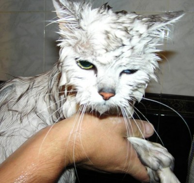 Я вам это припомню