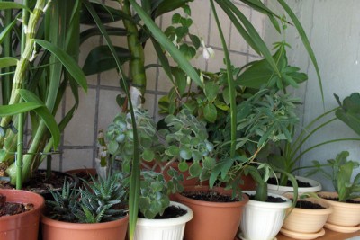 на верхней полке все самое большое, и то, что не влезло на другие полки :)