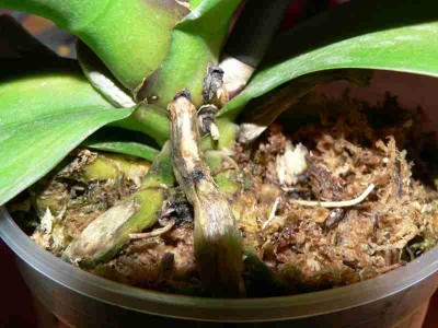 Это другой ракурс