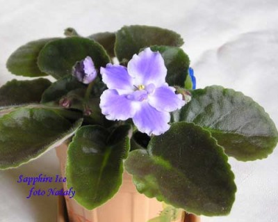 Влияние жары на пальчики, имхо, несколько преувеличено