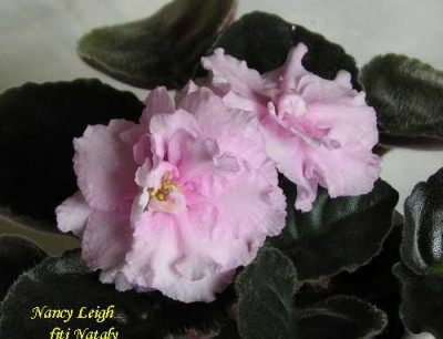 Спорт? Пересорт?