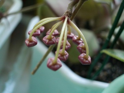 такими мы были буквально вчера