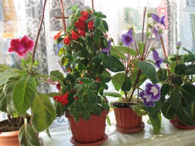 Это мой балкон